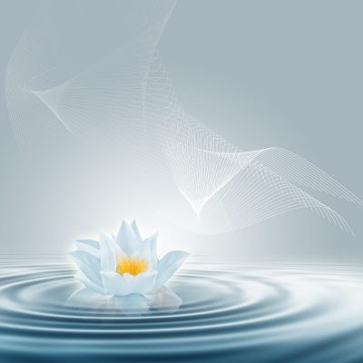 Modern lotus design on water